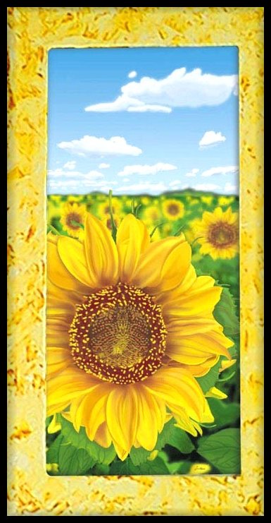 Occhio di Luce